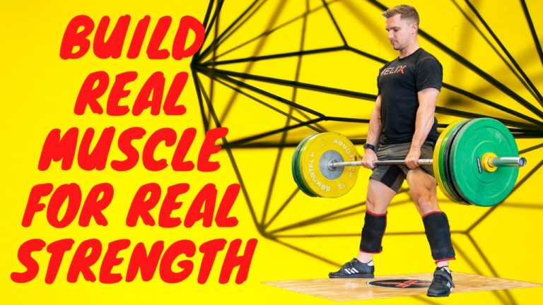 Build Muscle header image